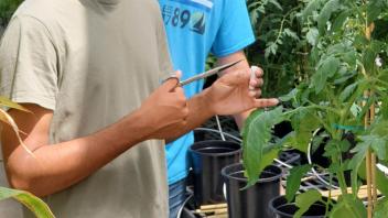 2 happy fellas cutting some plants