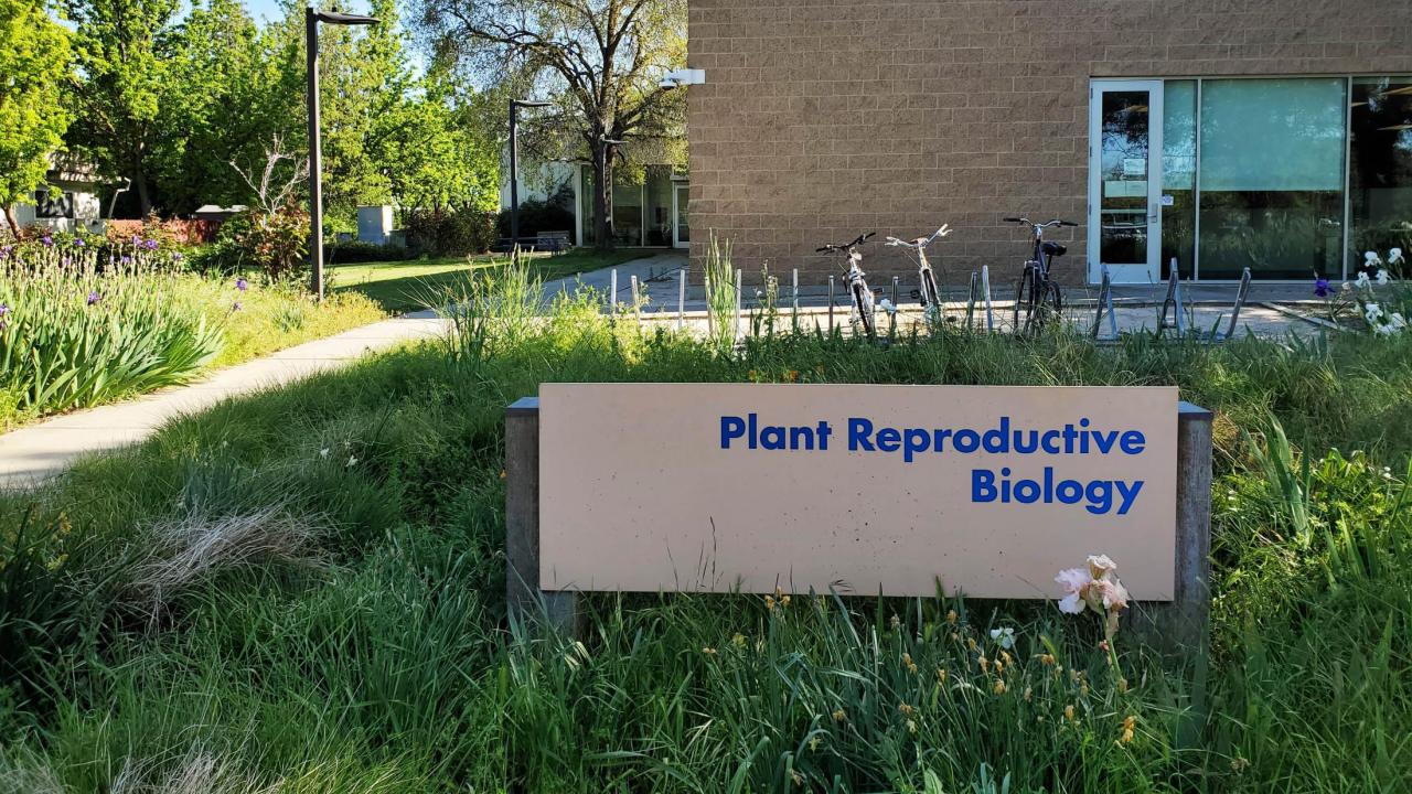 "Plant Reproductive Biology" Sign